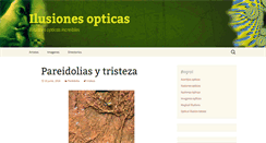 Desktop Screenshot of ilusionesopticas.org